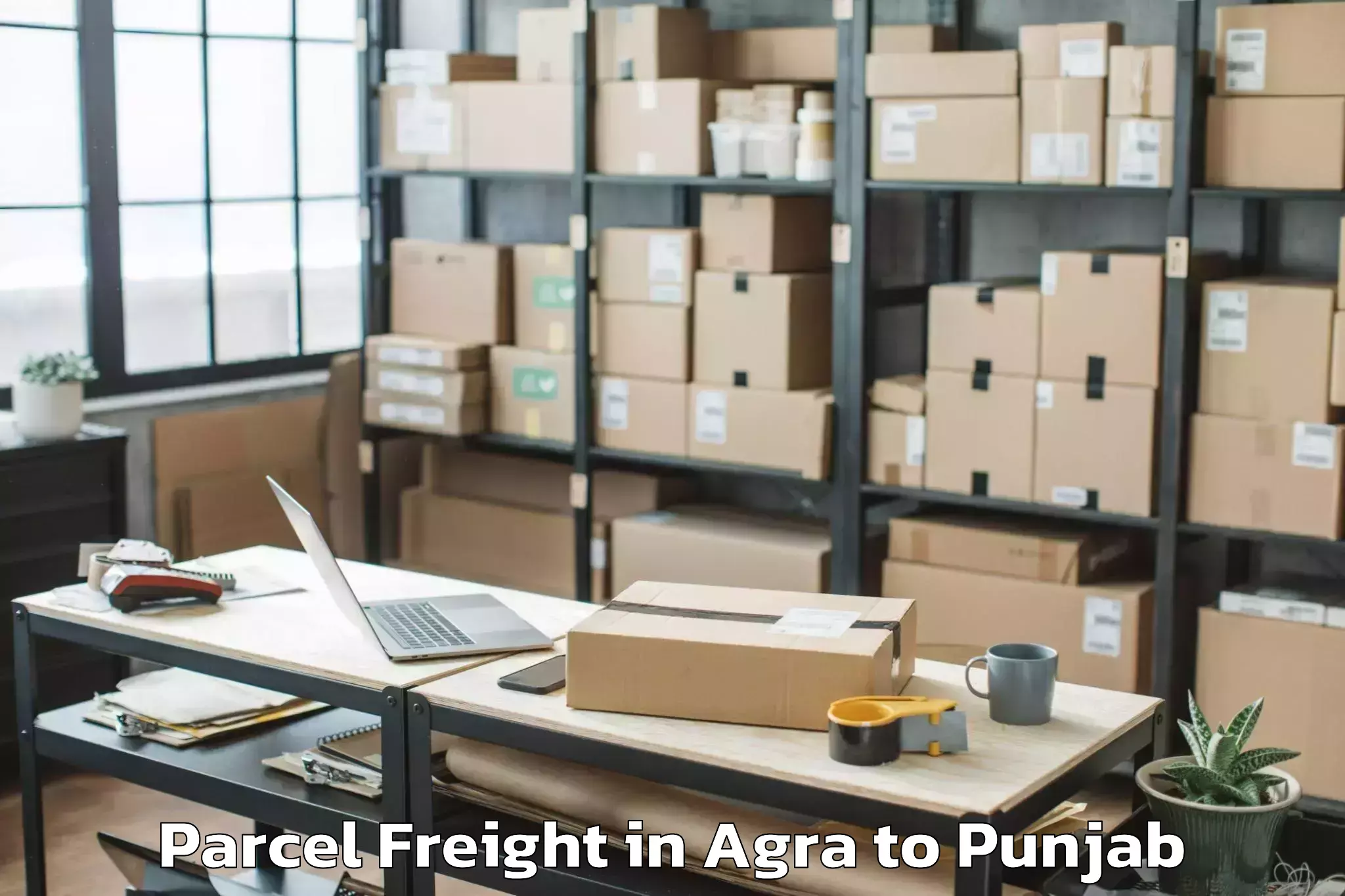 Book Agra to Ansal Plaza Mall Ludhiana Parcel Freight